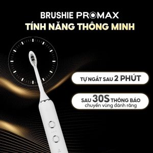 Bàn chải điện Brushie Promax